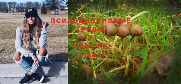 мяу мяу мука Баксан