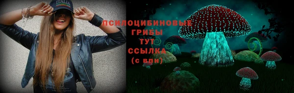 мяу мяу мука Баксан