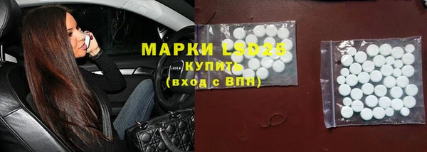 мяу мяу мука Баксан