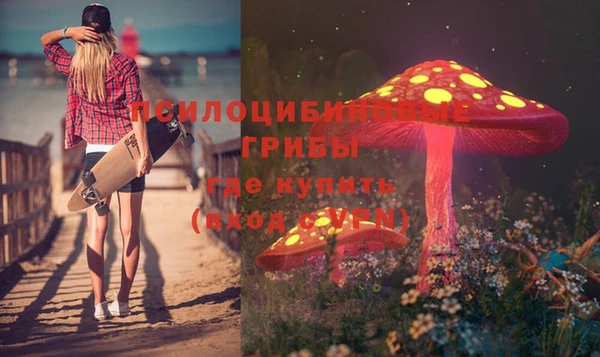 мяу мяу мука Баксан